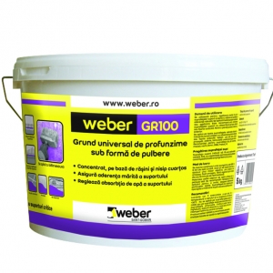 WEBER GR 100